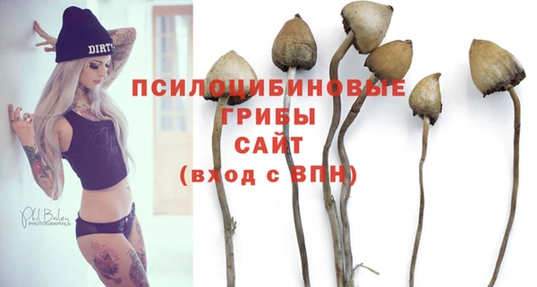 прущие грибы Алексин