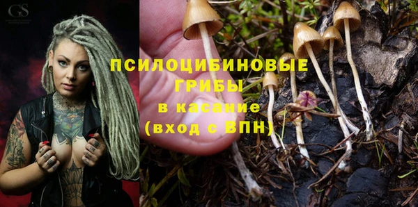 кокаин колумбия Алзамай
