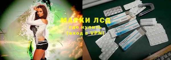 прущие грибы Алексин