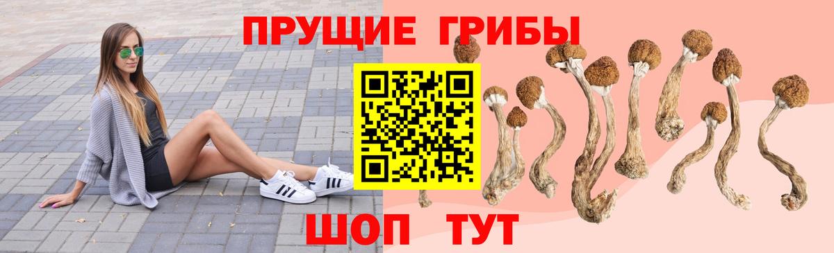 Псилоцибиновые грибы ЛСД Асино